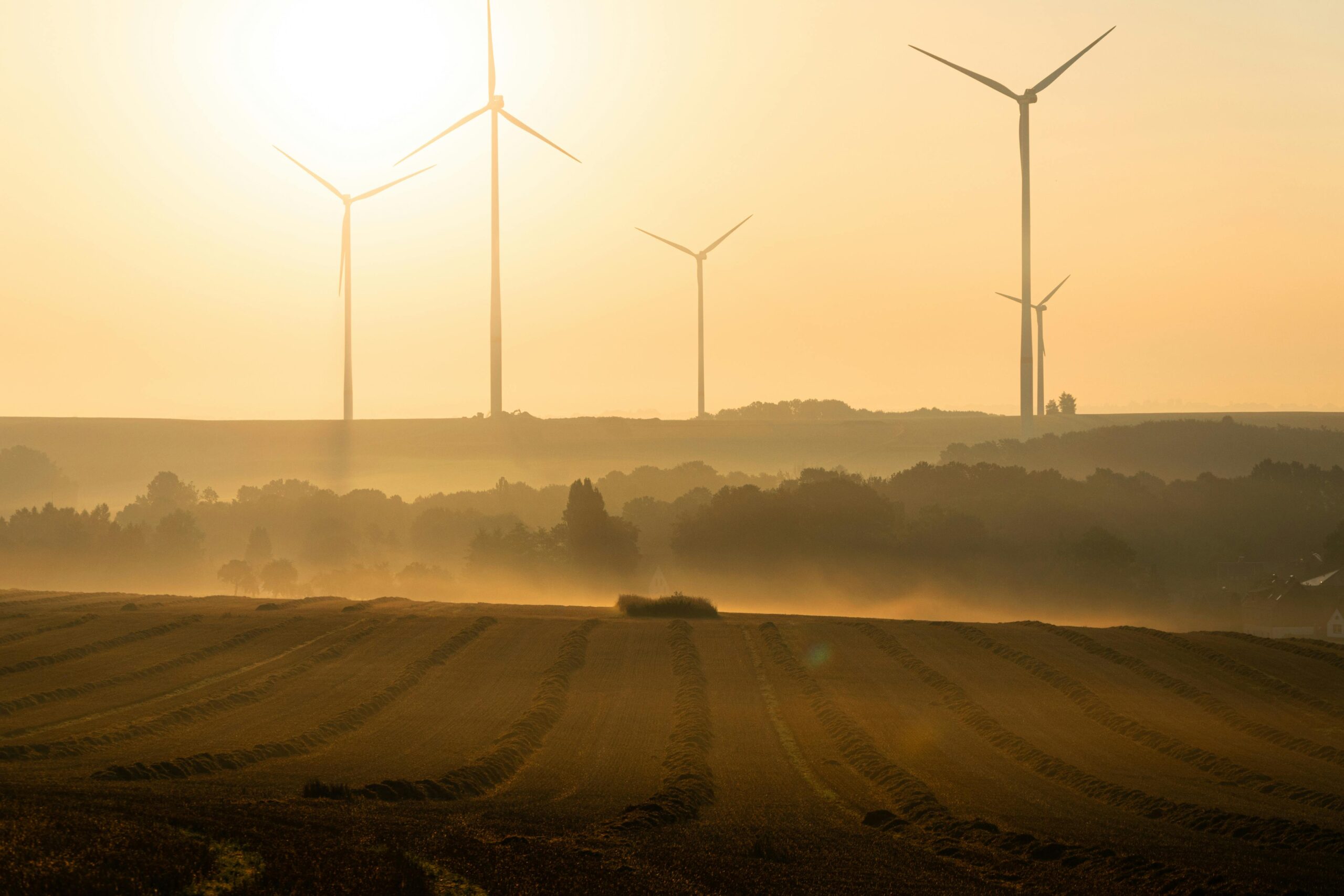 Como um engenheiro ambiental ajuda na luta contra mudanças climáticas e na conservação do meio ambiente?