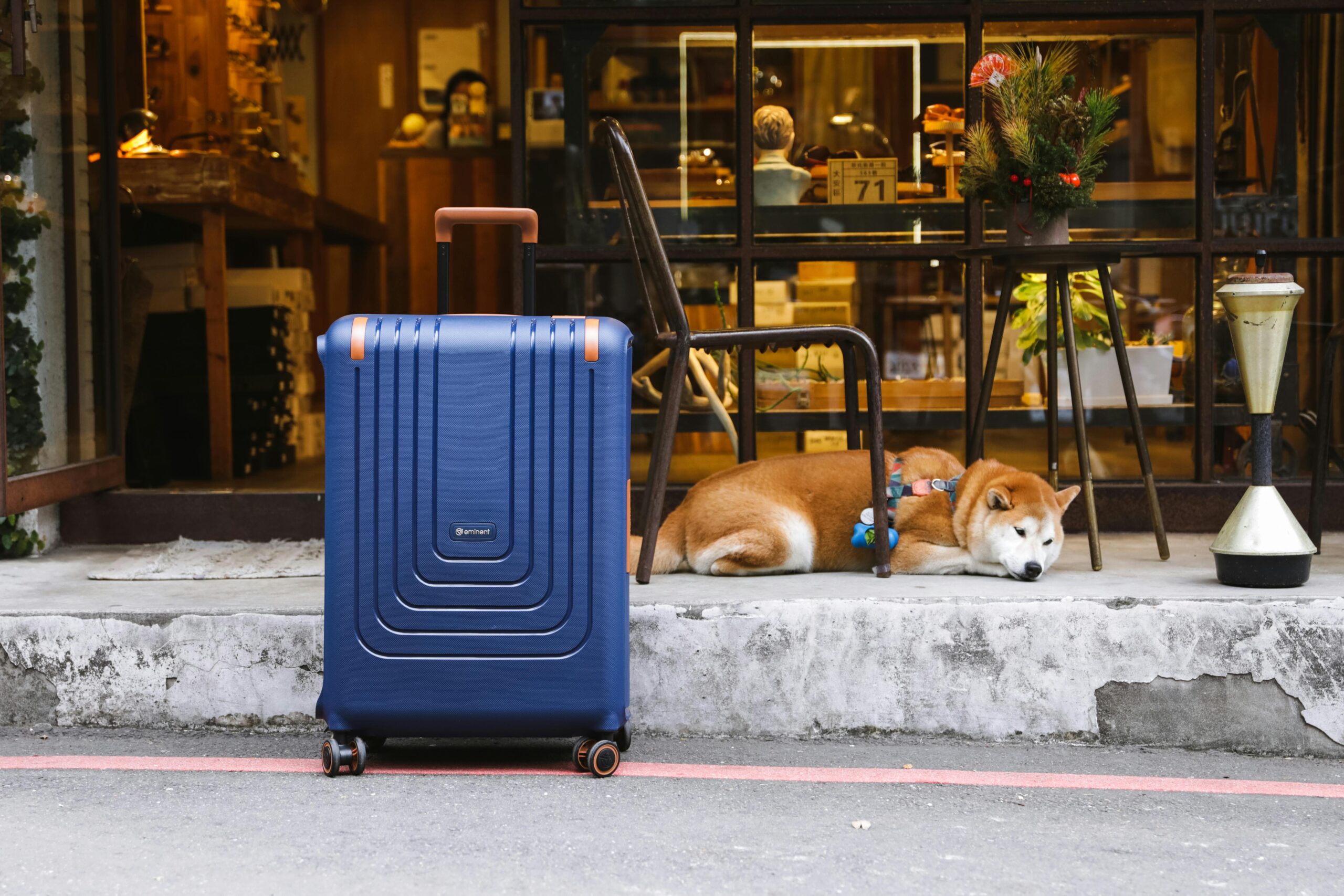 Locais pet friendly em São Paulo